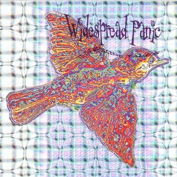 'Til The Medicine Takes WIDESPREAD PANIC