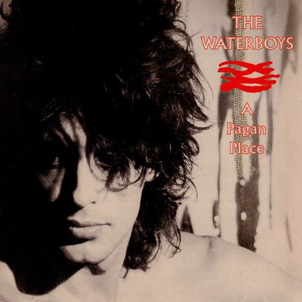 A Pagan Place (deluxe edition - 2002) THE WATERBOYS