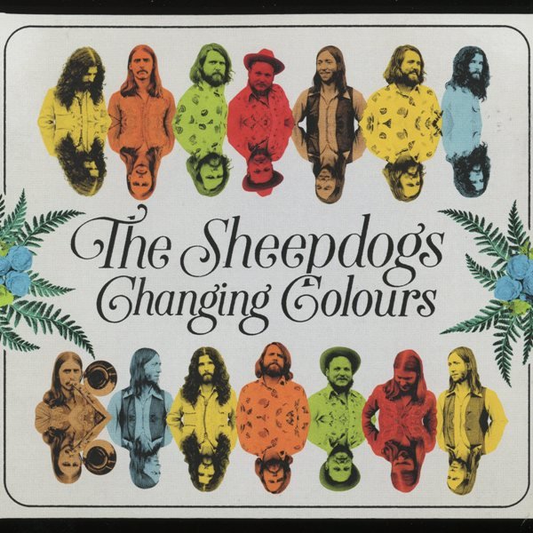 Changing Colours THE SHEEPDOGS