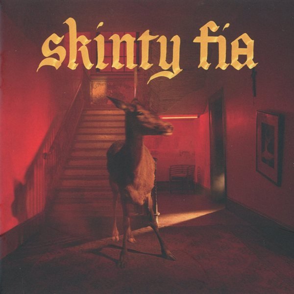 Skinty Fia FONTAINES D.C.