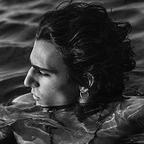 Amir TAMINO